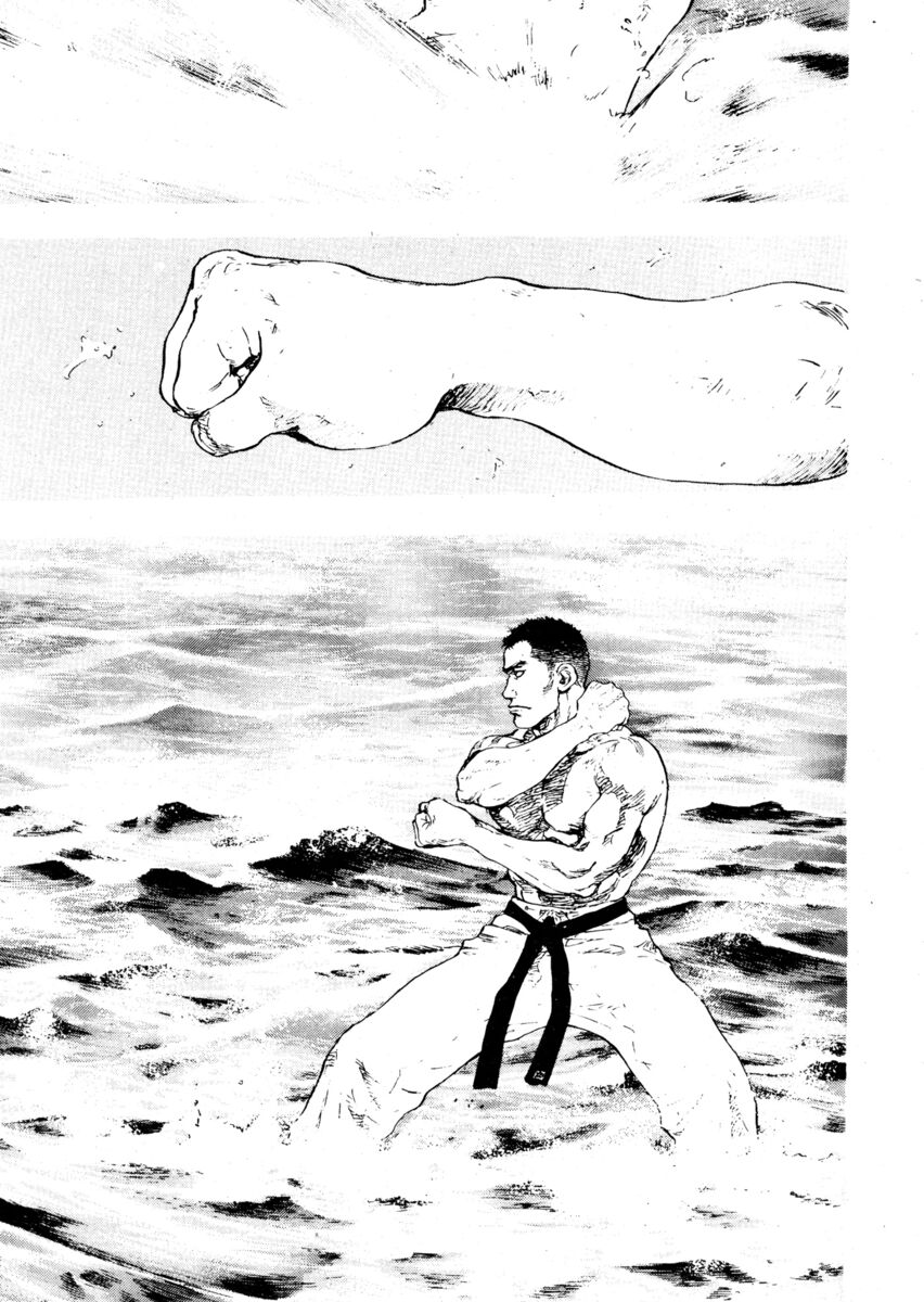 Read Shamo Manga Online