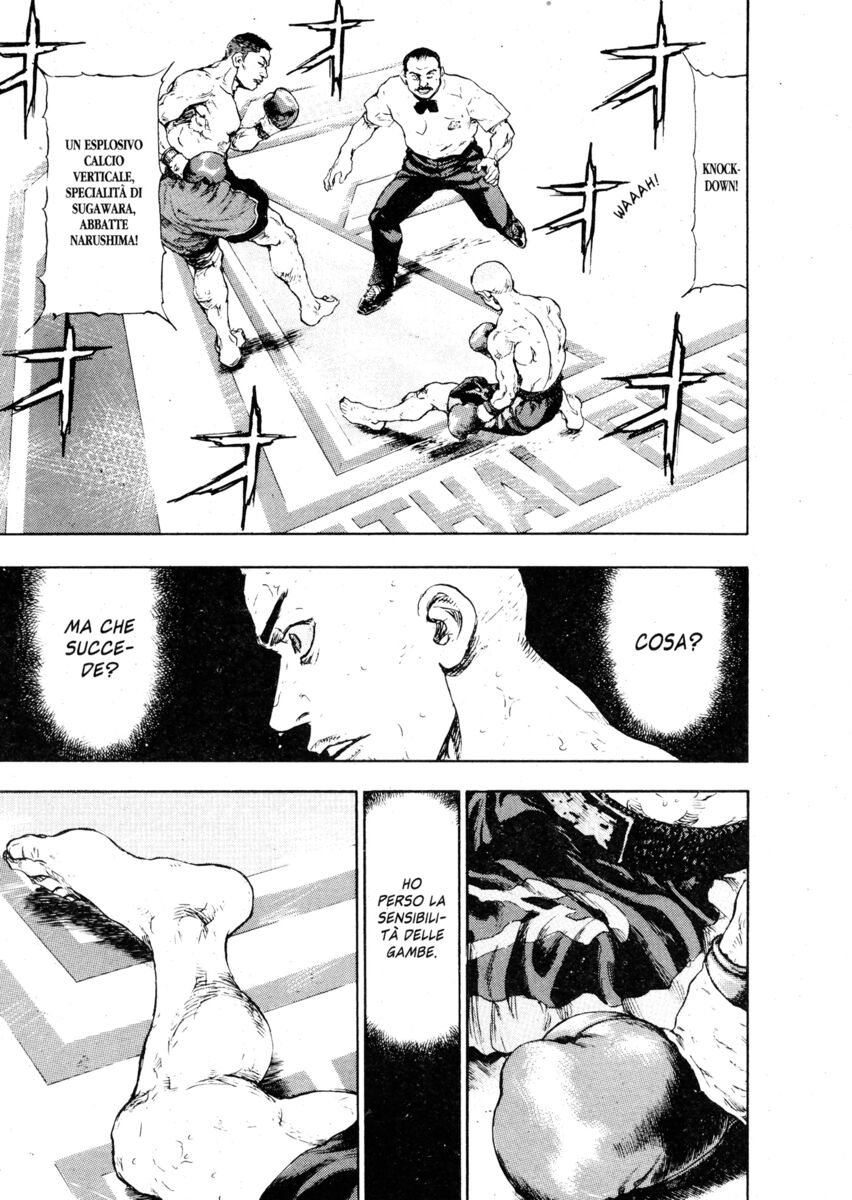 Read Shamo Manga Online