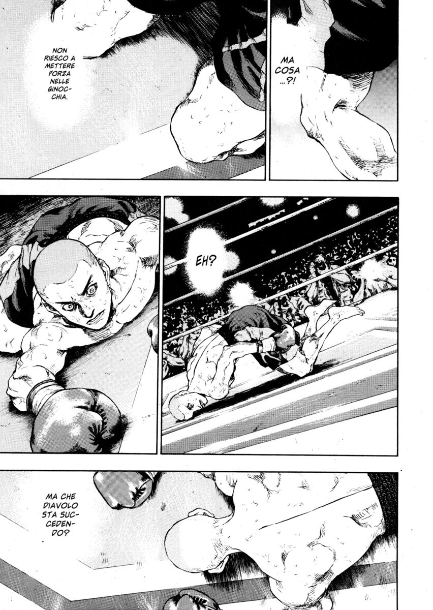 Read Shamo Manga Online