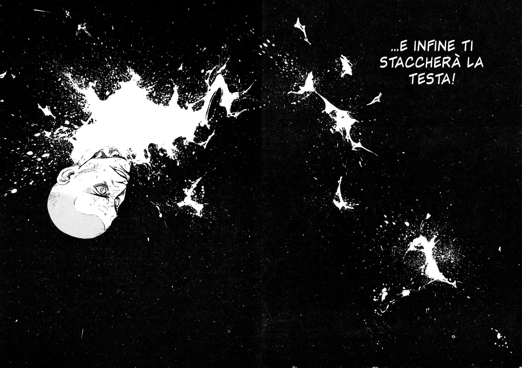 Read Shamo Manga Online