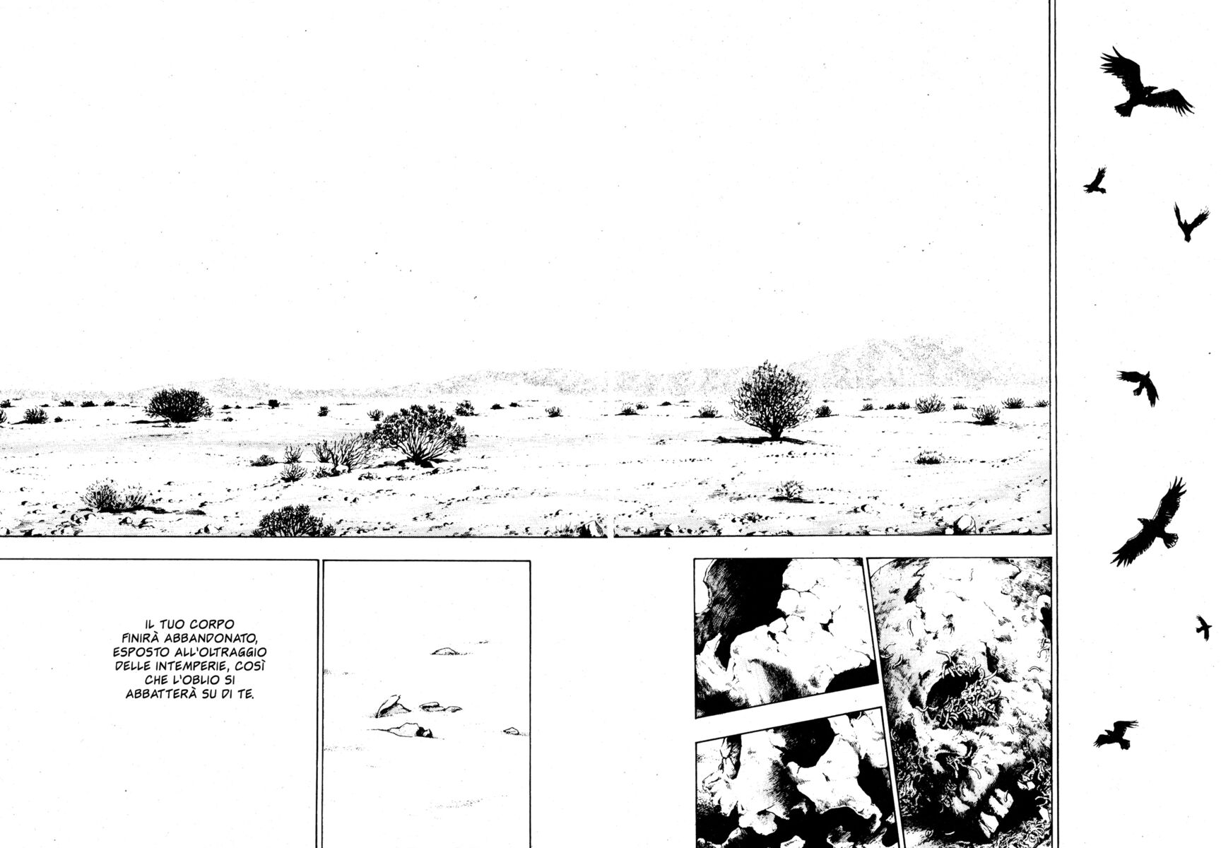 Read Shamo Manga Online