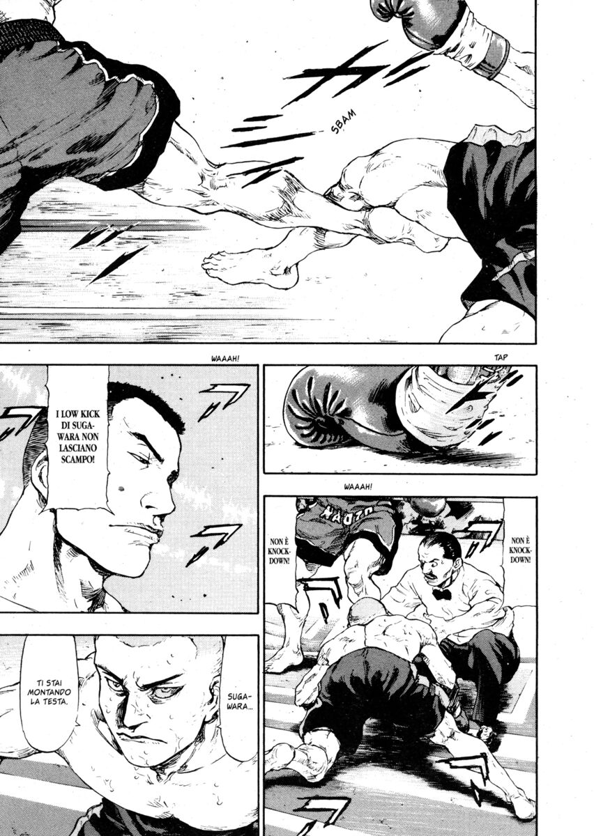 Read Shamo Manga Online