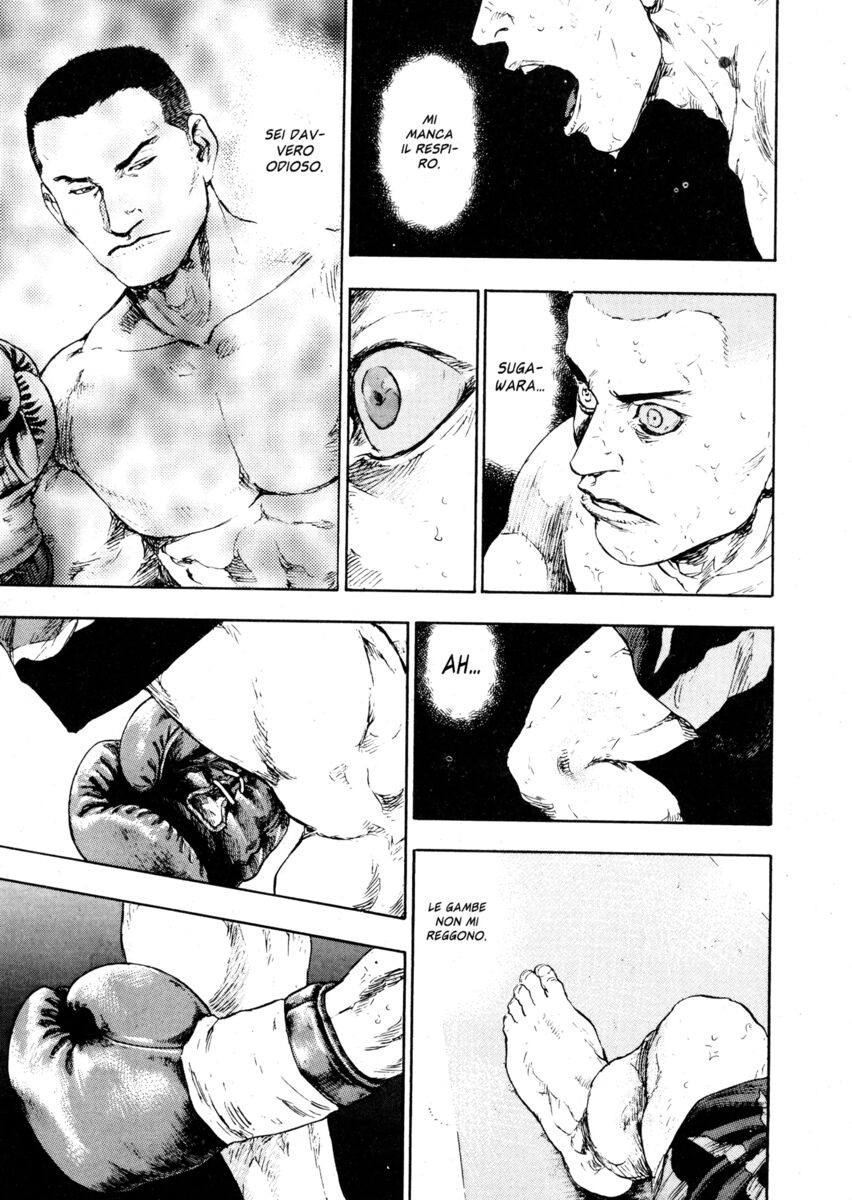 Read Shamo Manga Online