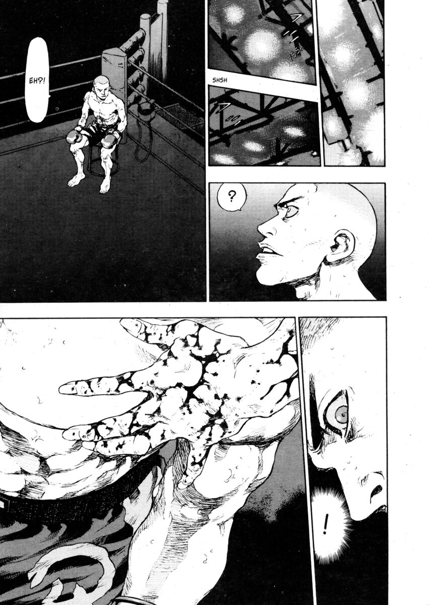 Read Shamo Manga Online