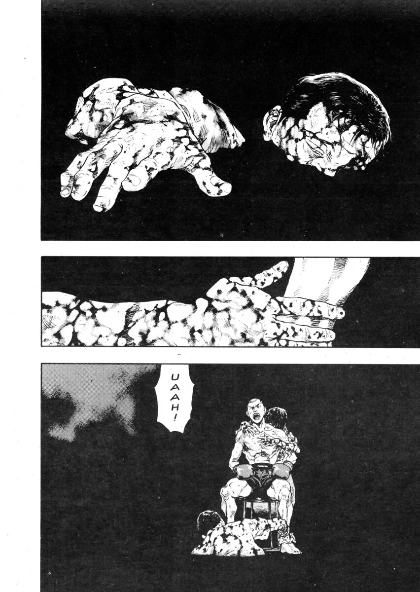 Read Shamo Manga Online