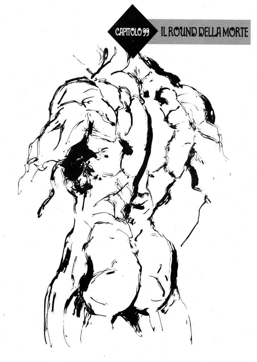 Read Shamo Manga Online