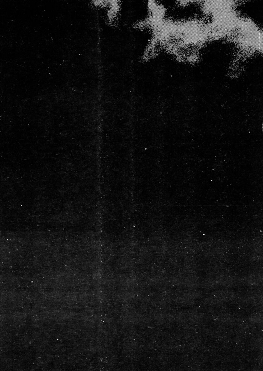 Read Shamo Manga Online