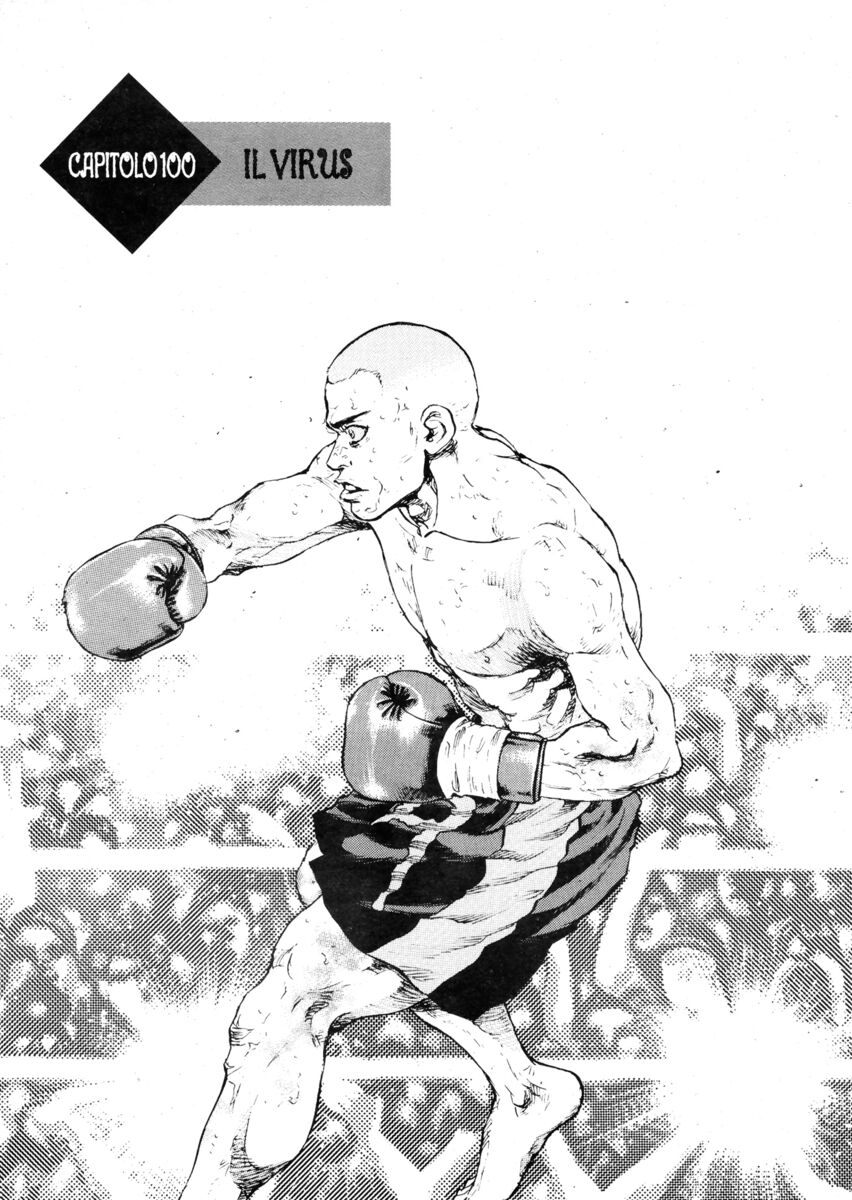 Read Shamo Manga Online