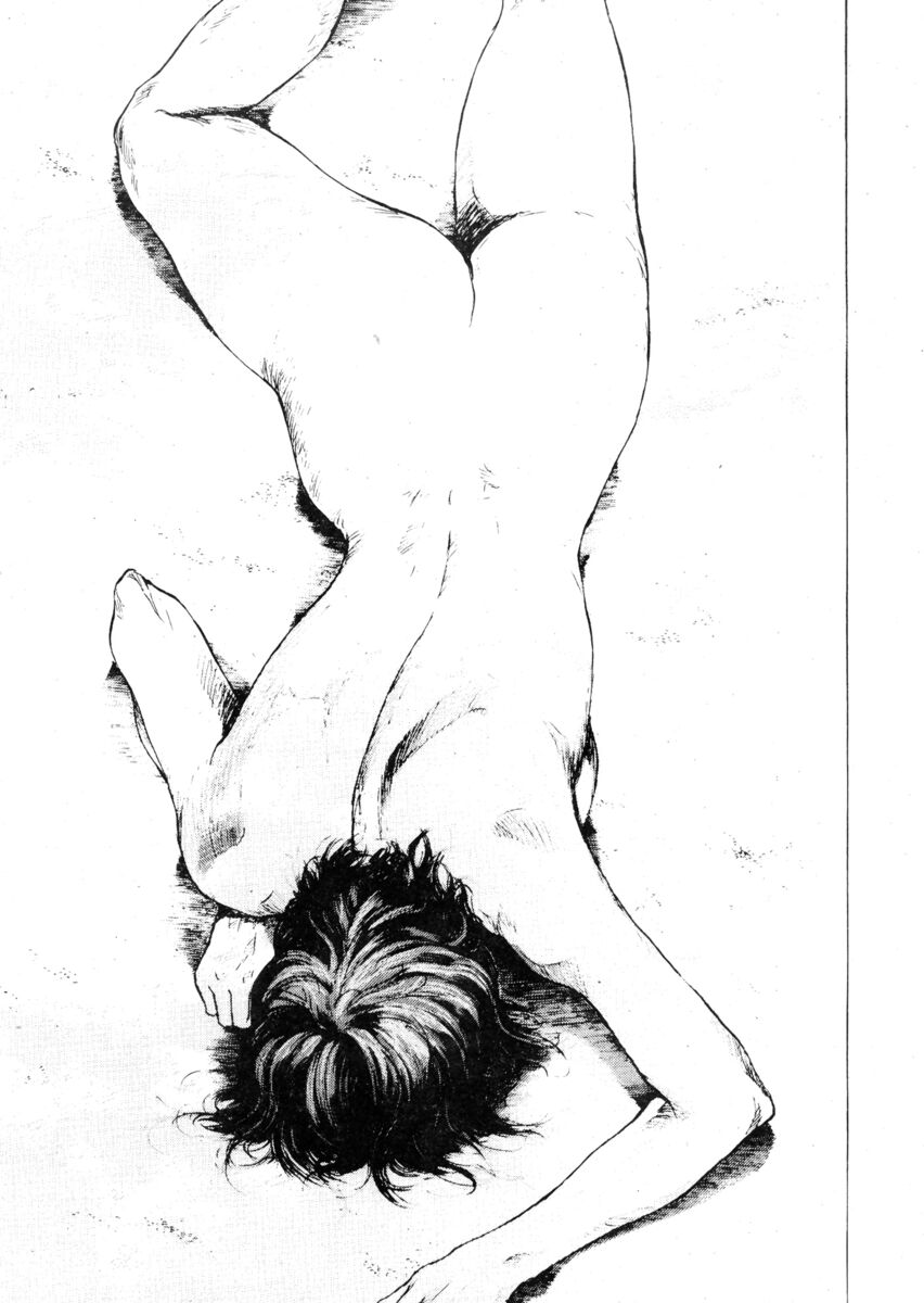 Read Shamo Manga Online