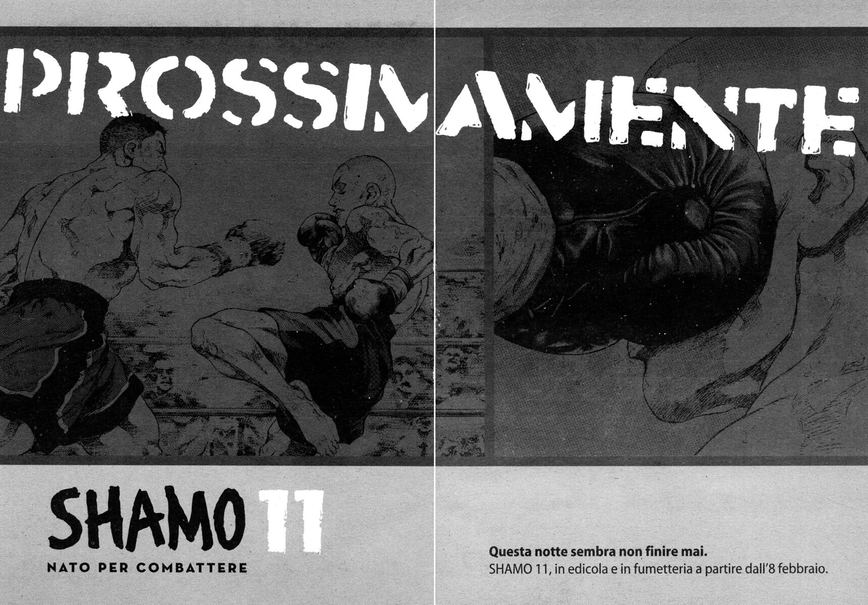 Read Shamo Manga Online