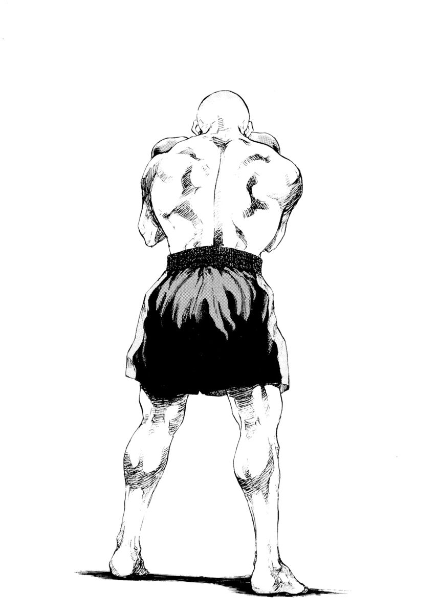 Read Shamo Manga Online