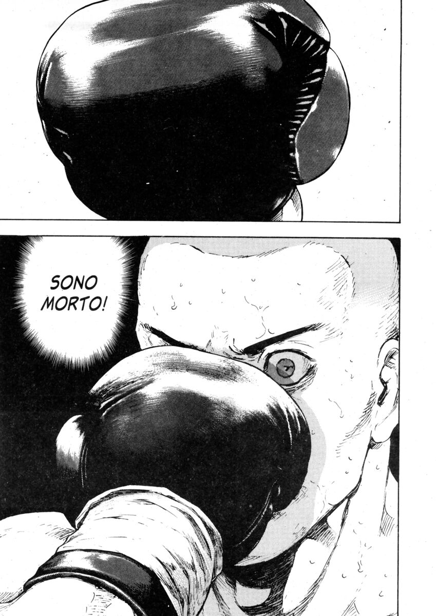 Read Shamo Manga Online
