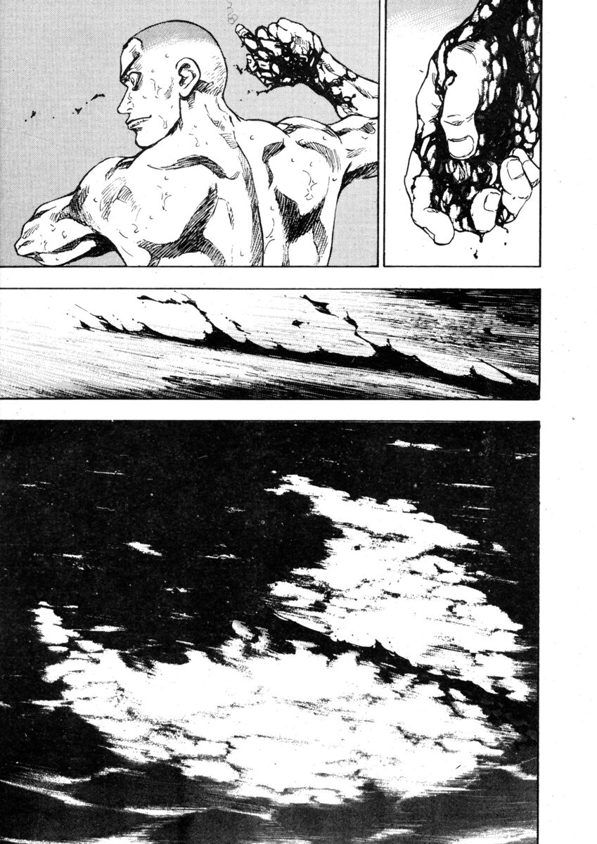 Read Shamo Manga Online