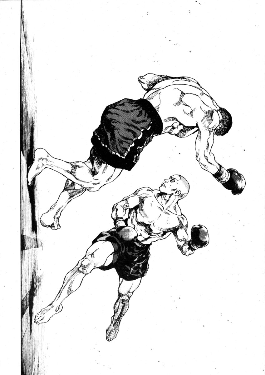 Read Shamo Manga Online