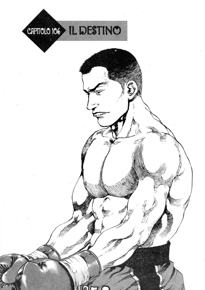 Read Shamo Manga Online