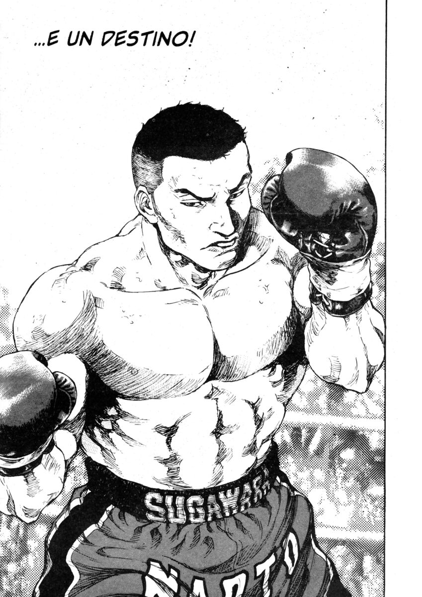 Read Shamo Manga Online