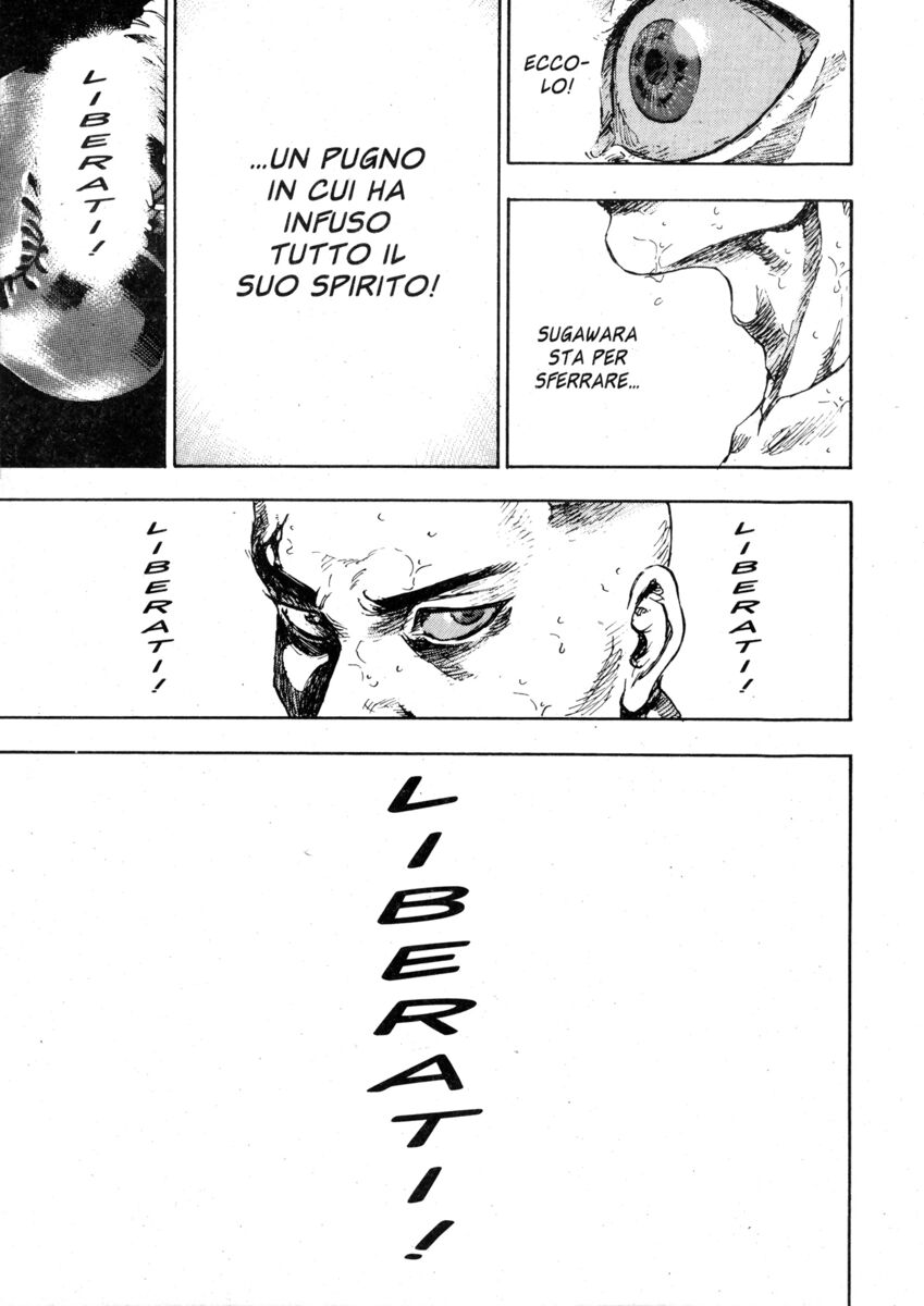 Read Shamo Manga Online