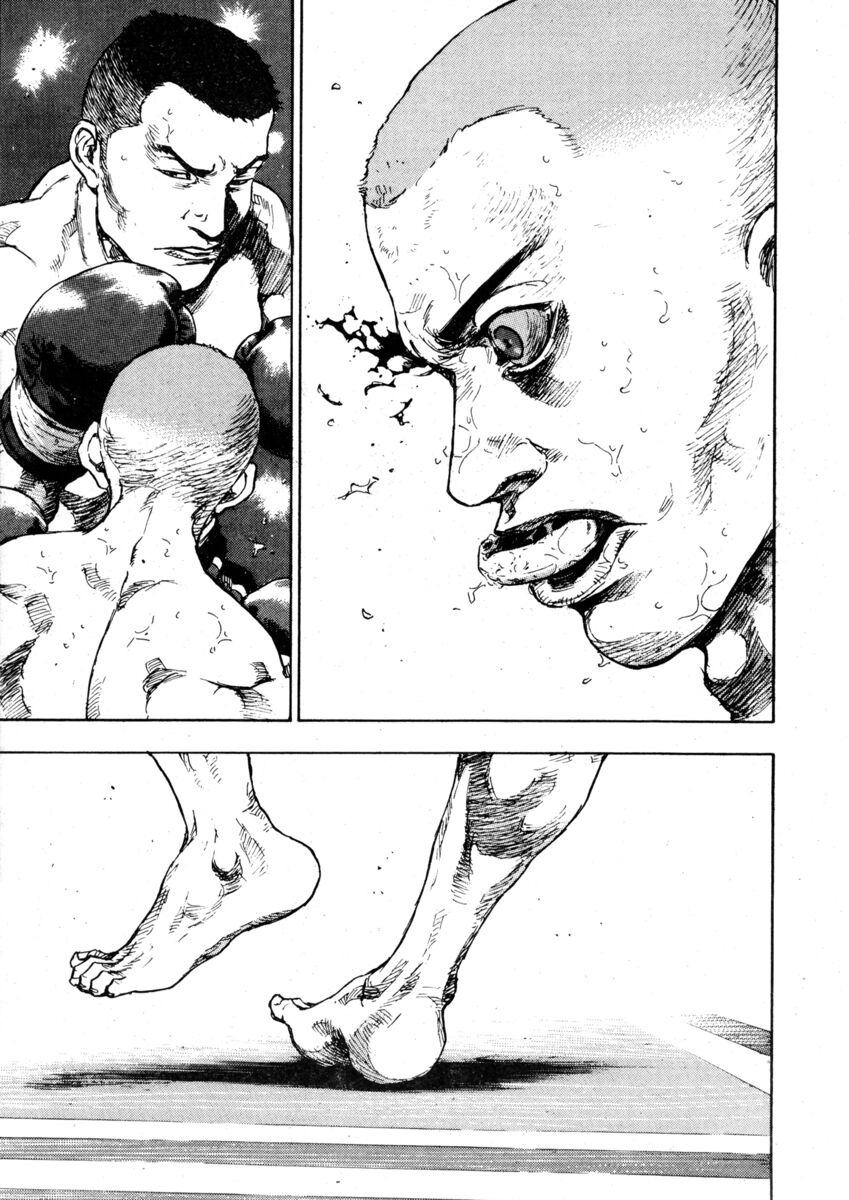 Read Shamo Manga Online