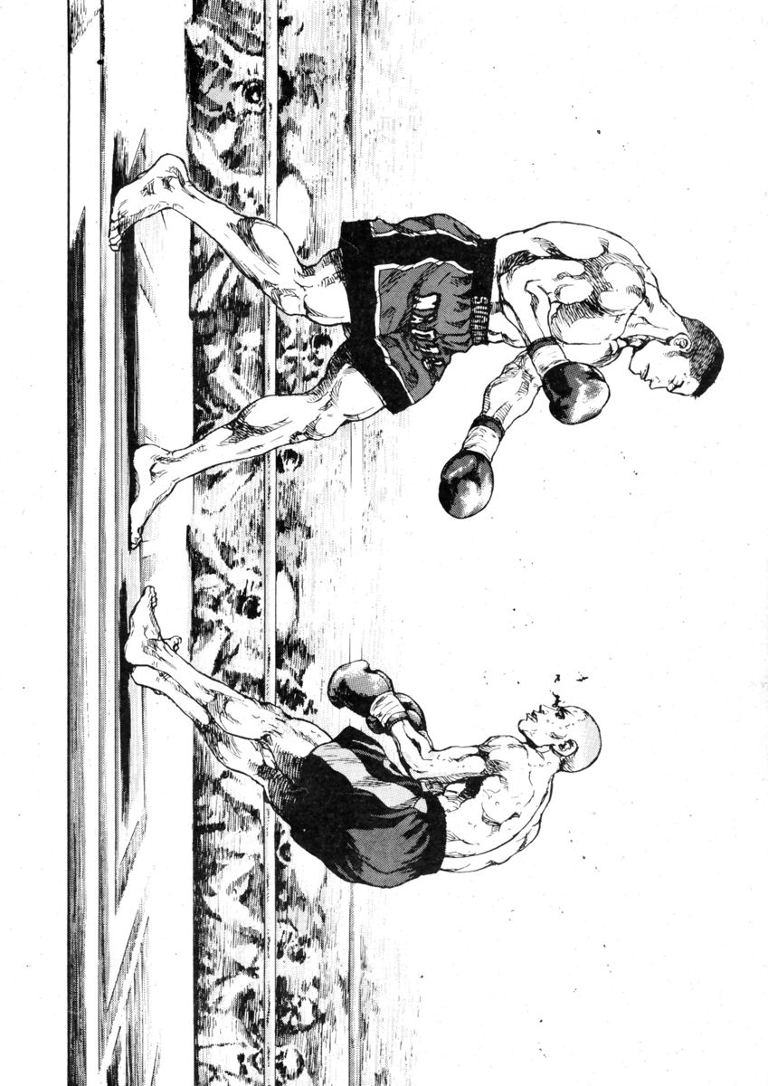 Read Shamo Manga Online