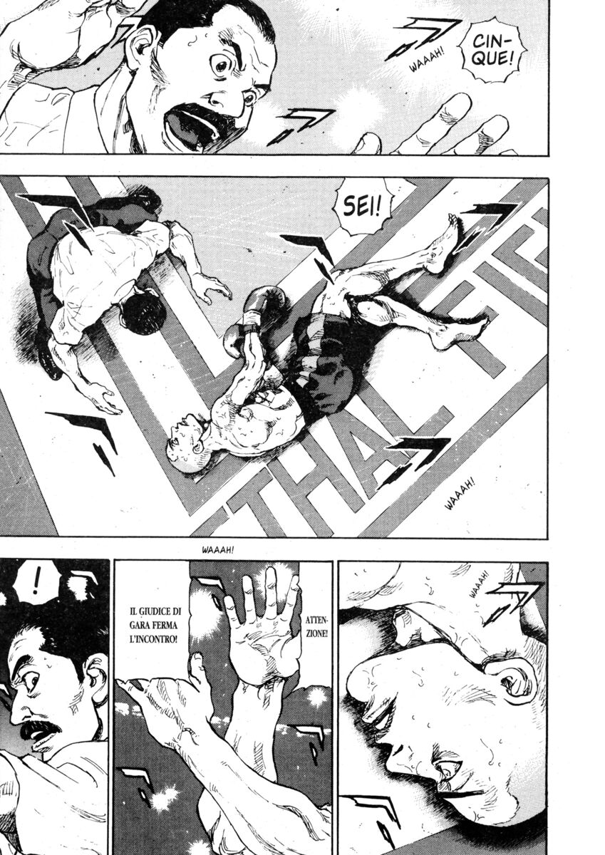 Read Shamo Manga Online