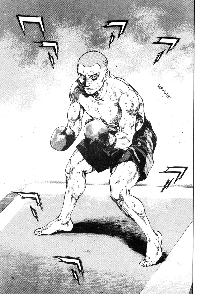 Read Shamo Manga Online