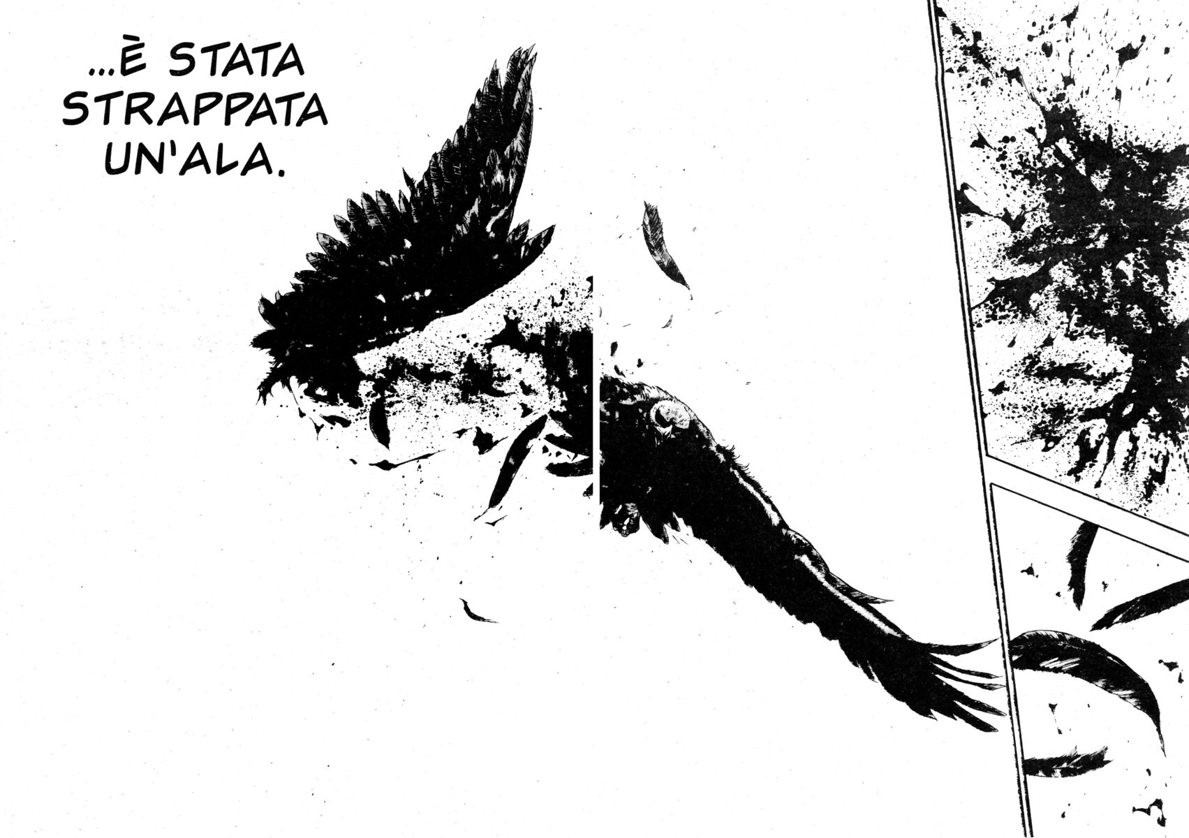 Read Shamo Manga Online