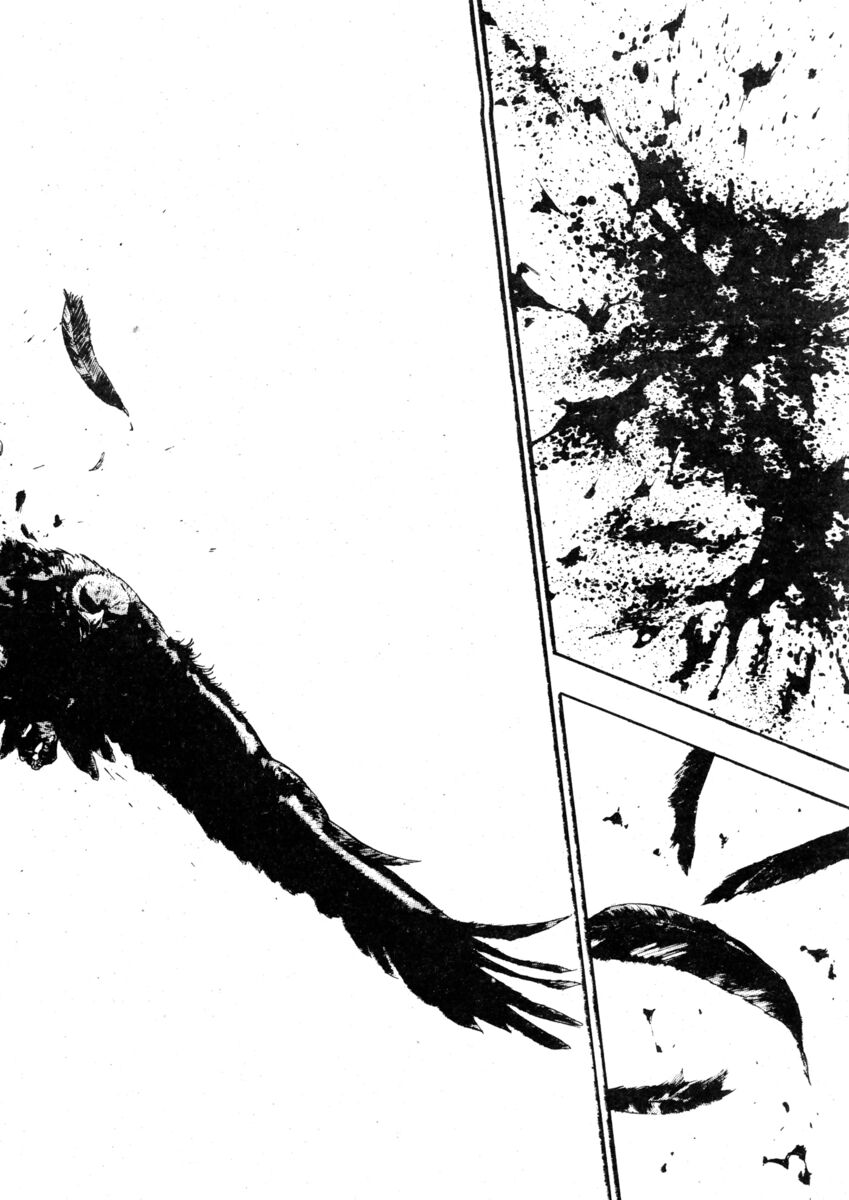 Read Shamo Manga Online