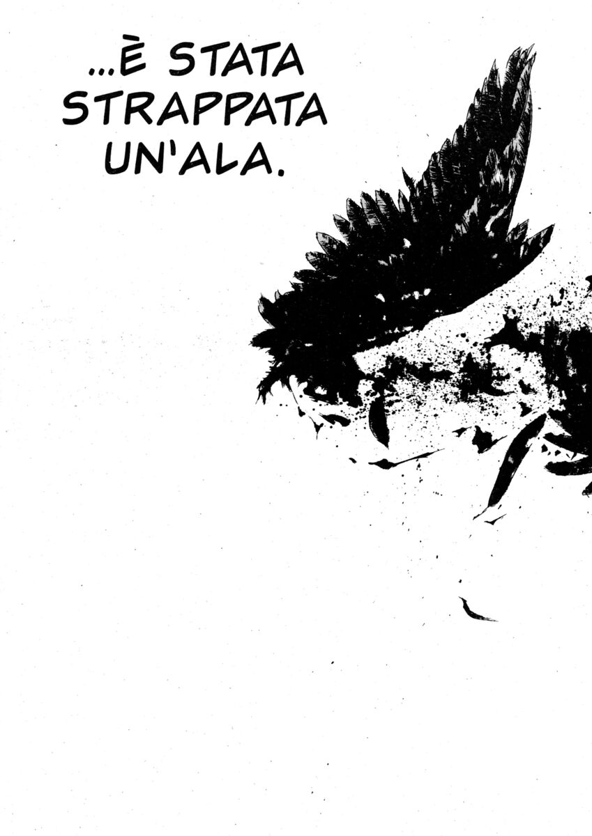 Read Shamo Manga Online