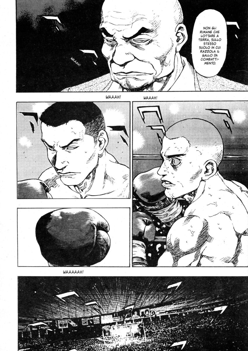 Read Shamo Manga Online