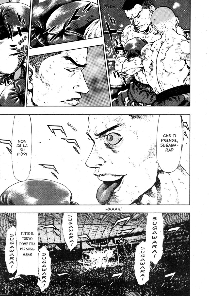 Read Shamo Manga Online