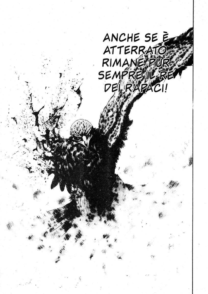 Read Shamo Manga Online