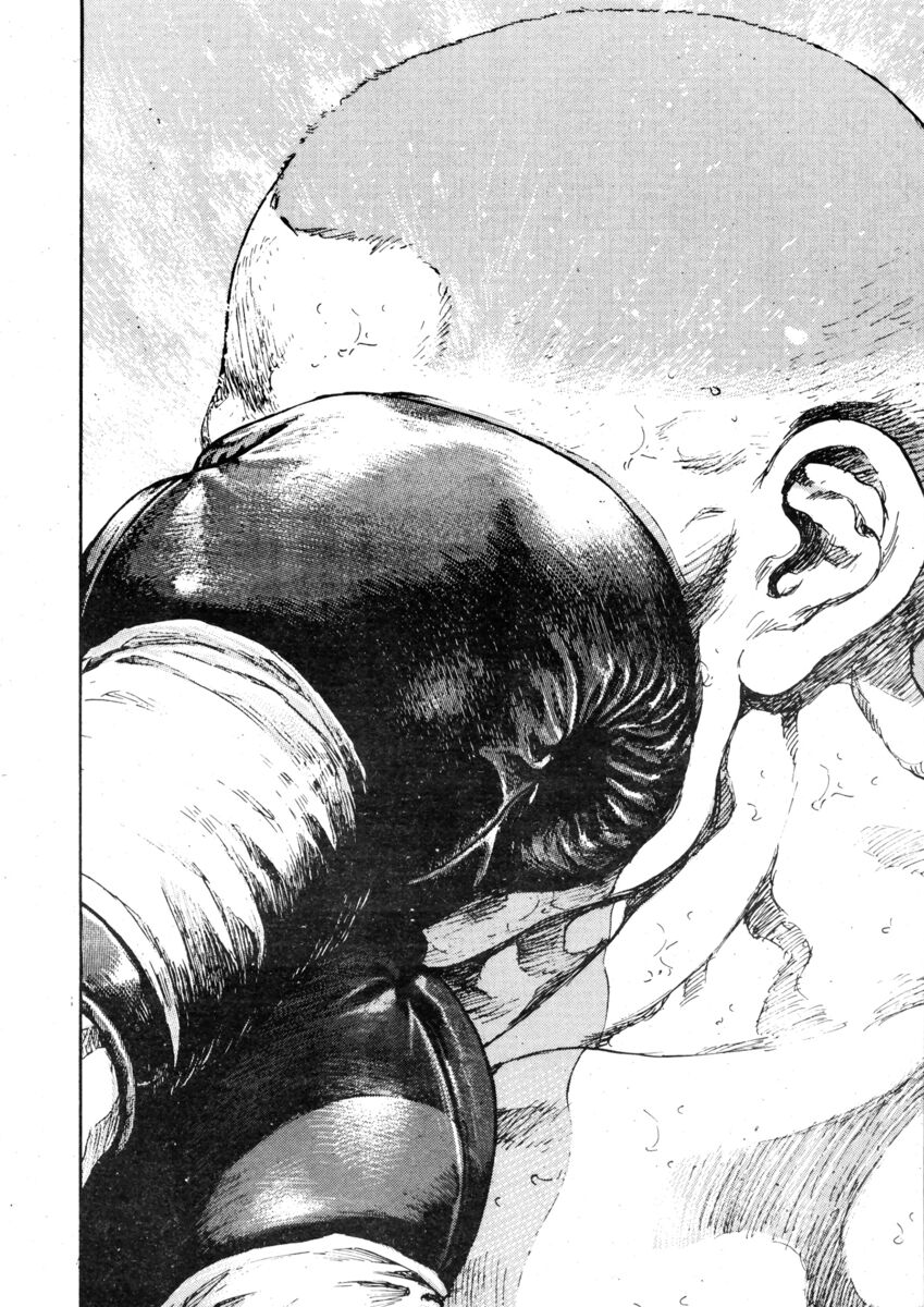 Read Shamo Manga Online