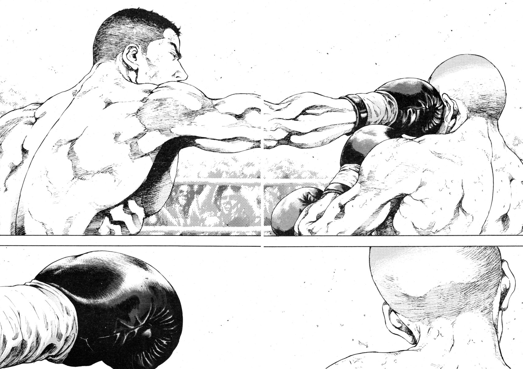 Read Shamo Manga Online