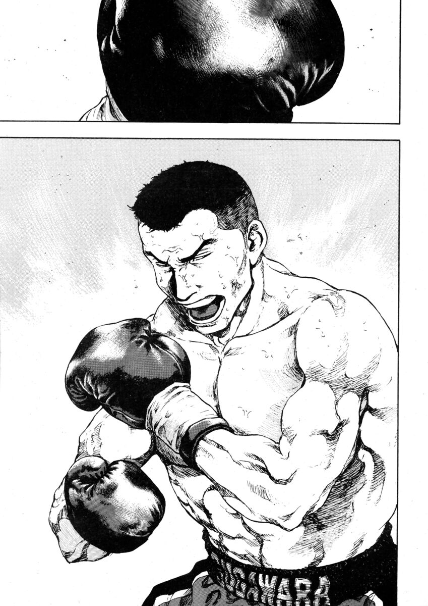 Read Shamo Manga Online