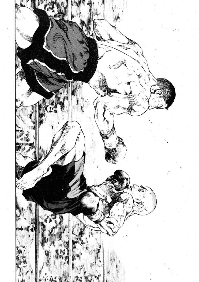 Read Shamo Manga Online