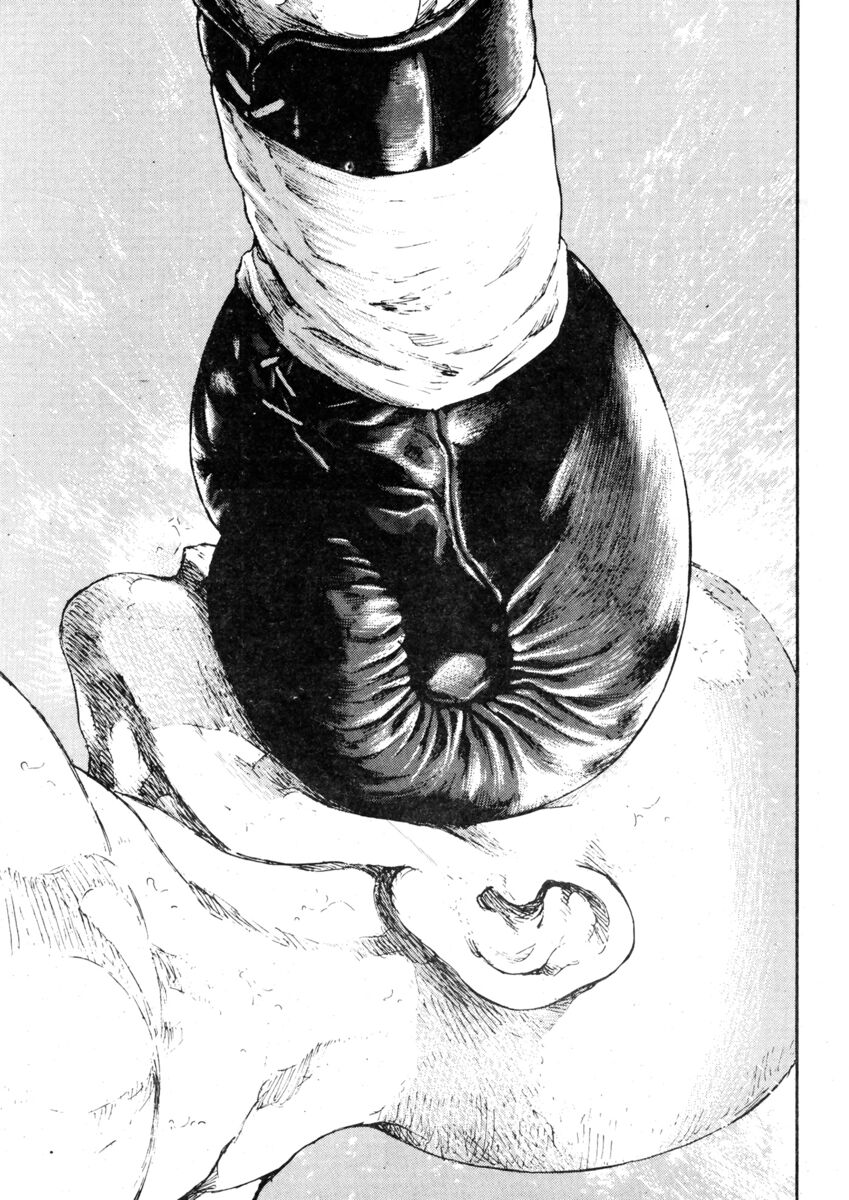 Read Shamo Manga Online