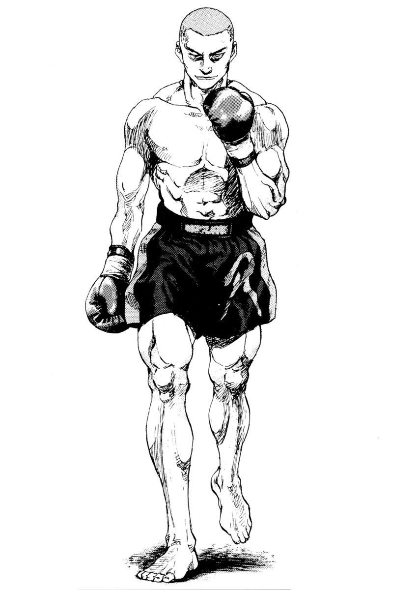 Read Shamo Manga Online