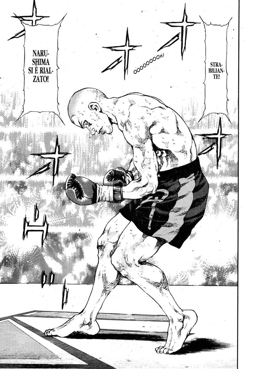 Read Shamo Manga Online