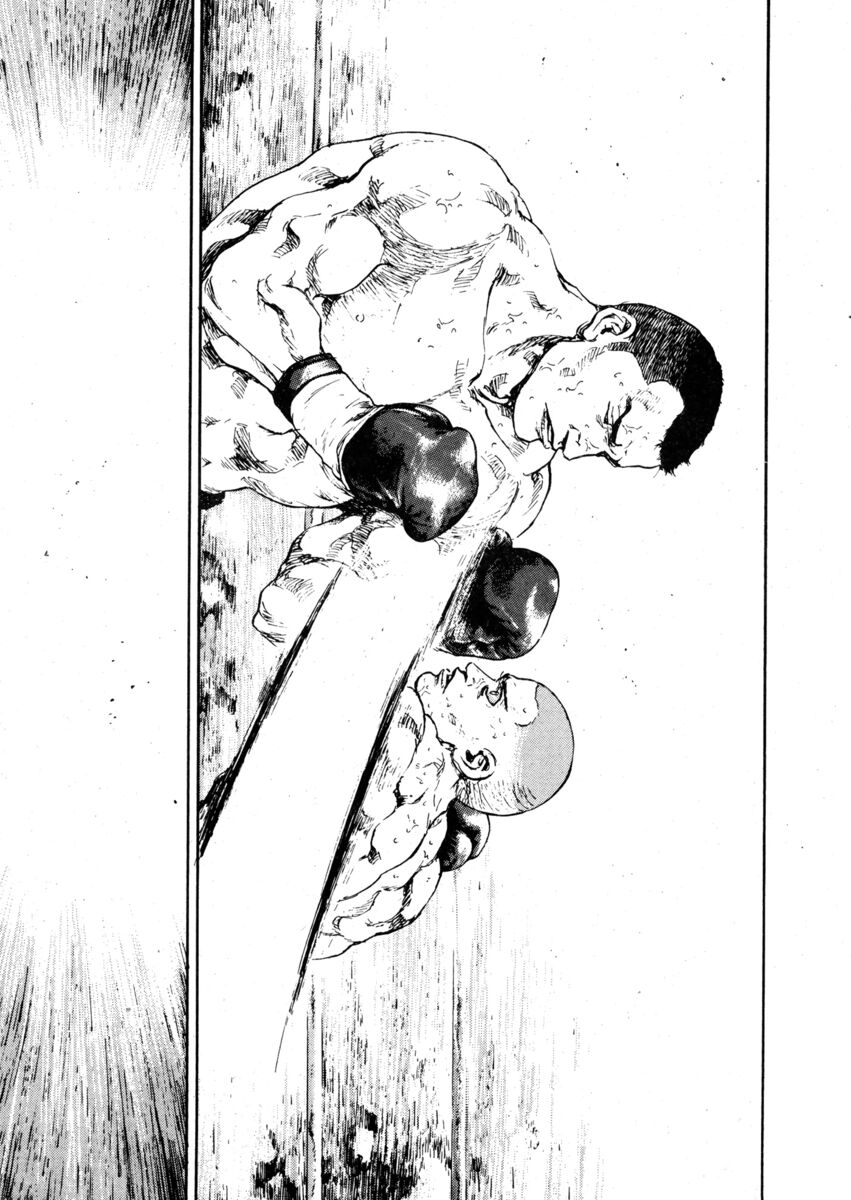 Read Shamo Manga Online