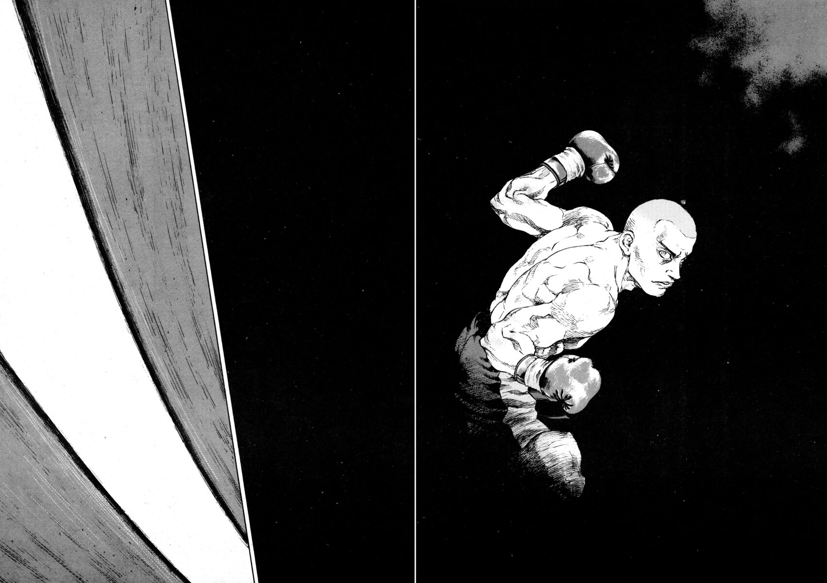 Read Shamo Manga Online