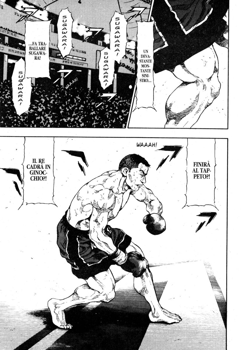 Read Shamo Manga Online