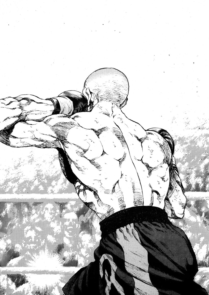 Read Shamo Manga Online