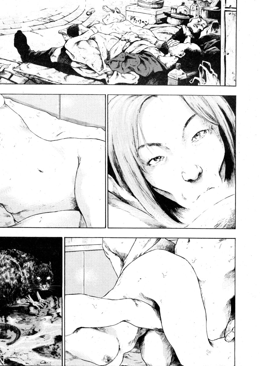 Read Shamo Manga Online