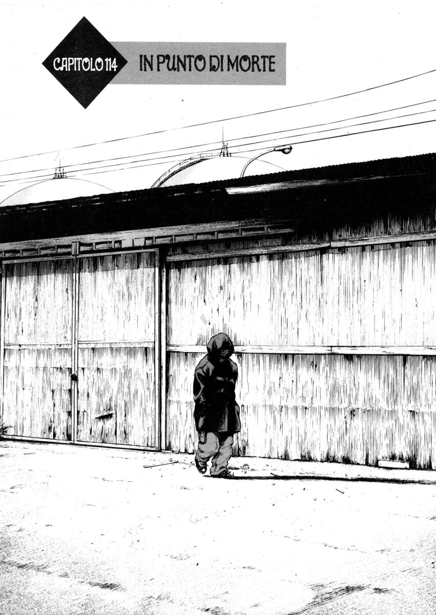 Read Shamo Manga Online