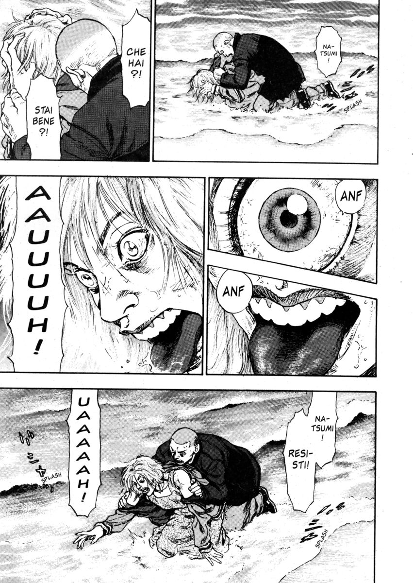 Read Shamo Manga Online