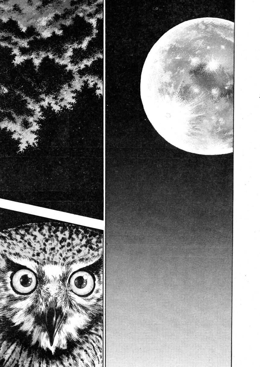 Read Shamo Manga Online