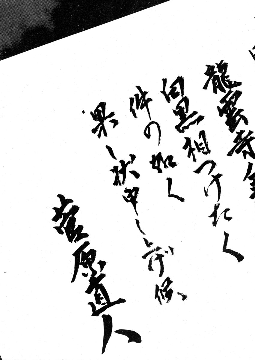 Read Shamo Manga Online