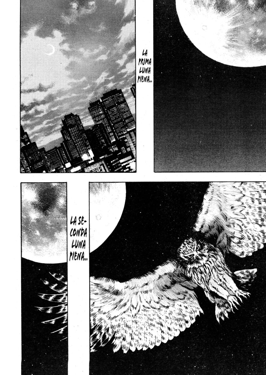 Read Shamo Manga Online