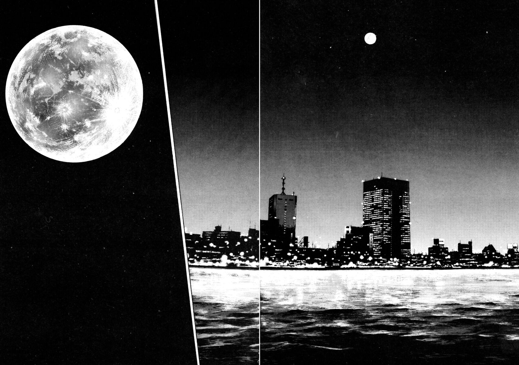 Read Shamo Manga Online