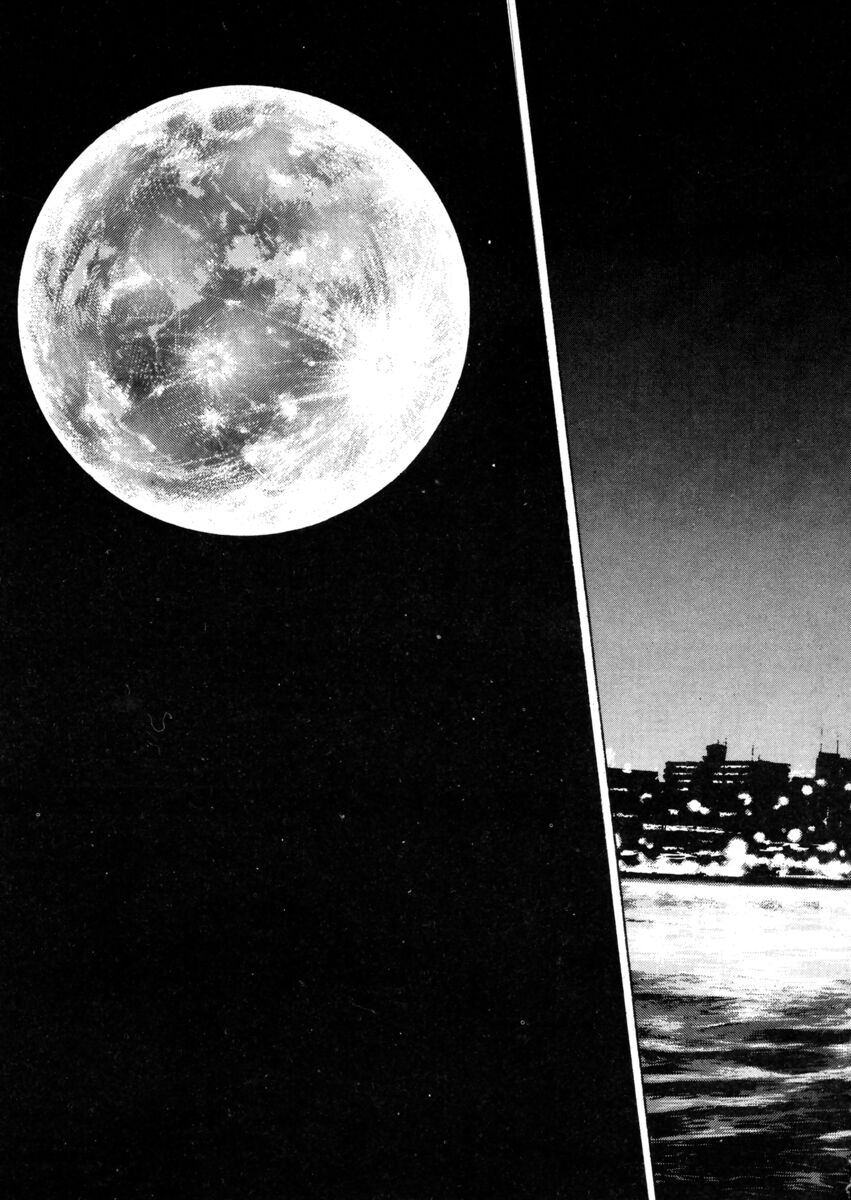 Read Shamo Manga Online